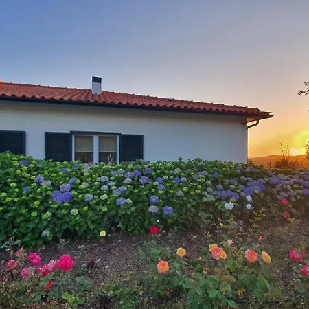 Villa Coja Mountain Perch Vinho  Exterior foto