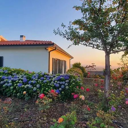 Villa Coja Mountain Perch Vinho  Exterior foto