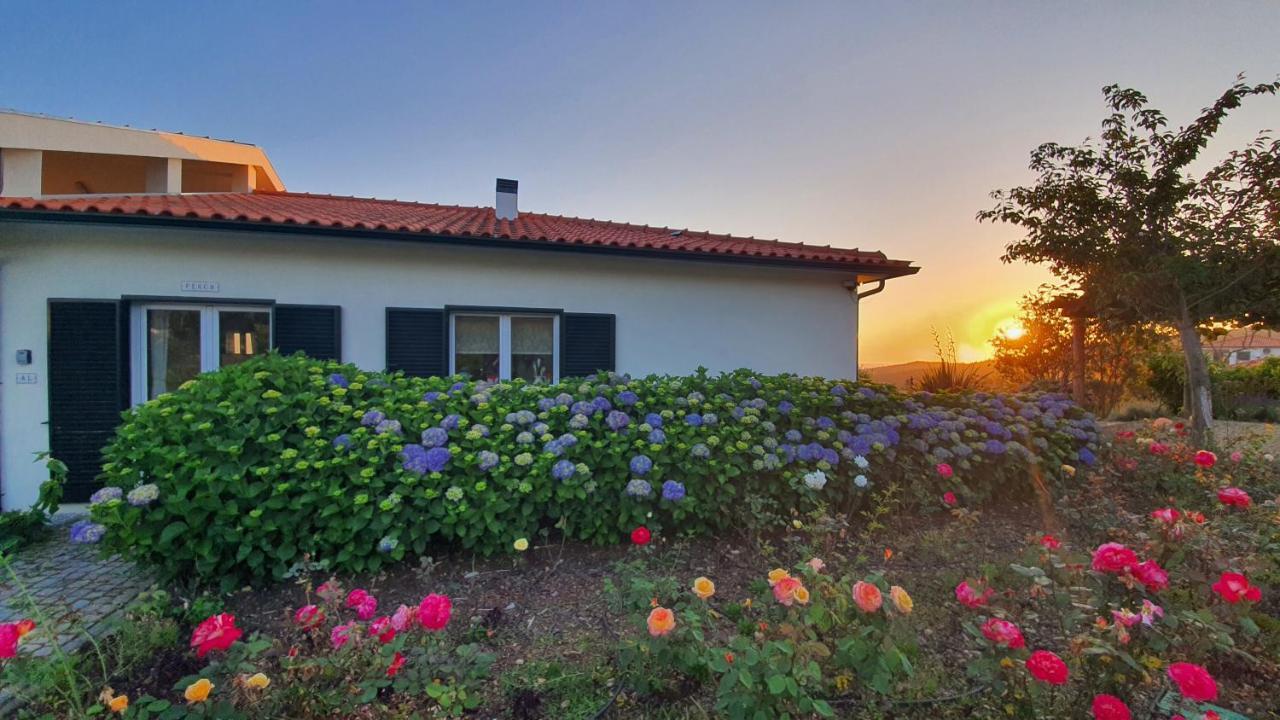 Villa Coja Mountain Perch Vinho (Coimbra)