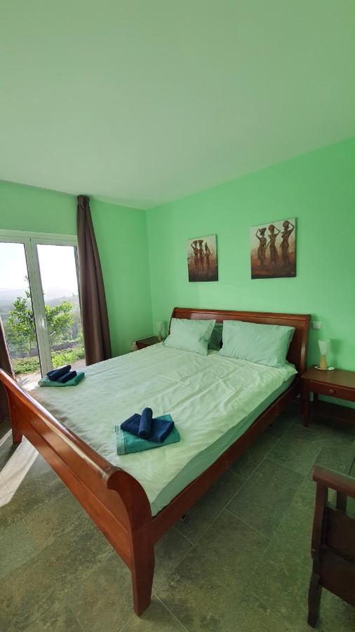 Villa Coja Mountain Perch Vinho (Coimbra)