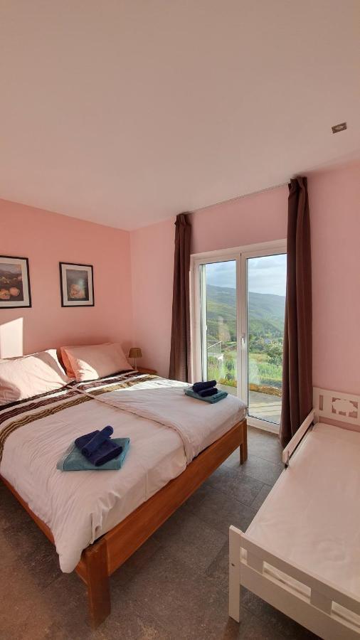 Coja Mountain Perch Villa Vinho (Coimbra)