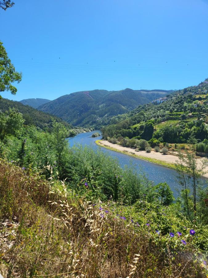 Coja Mountain Perch * Vinho (Coimbra)