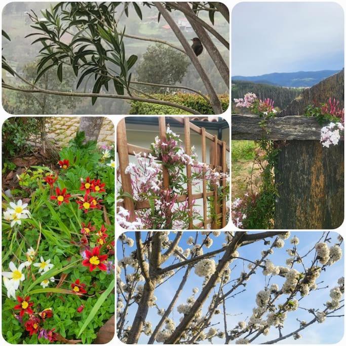 Coja Mountain Perch Villa Vinho (Coimbra)