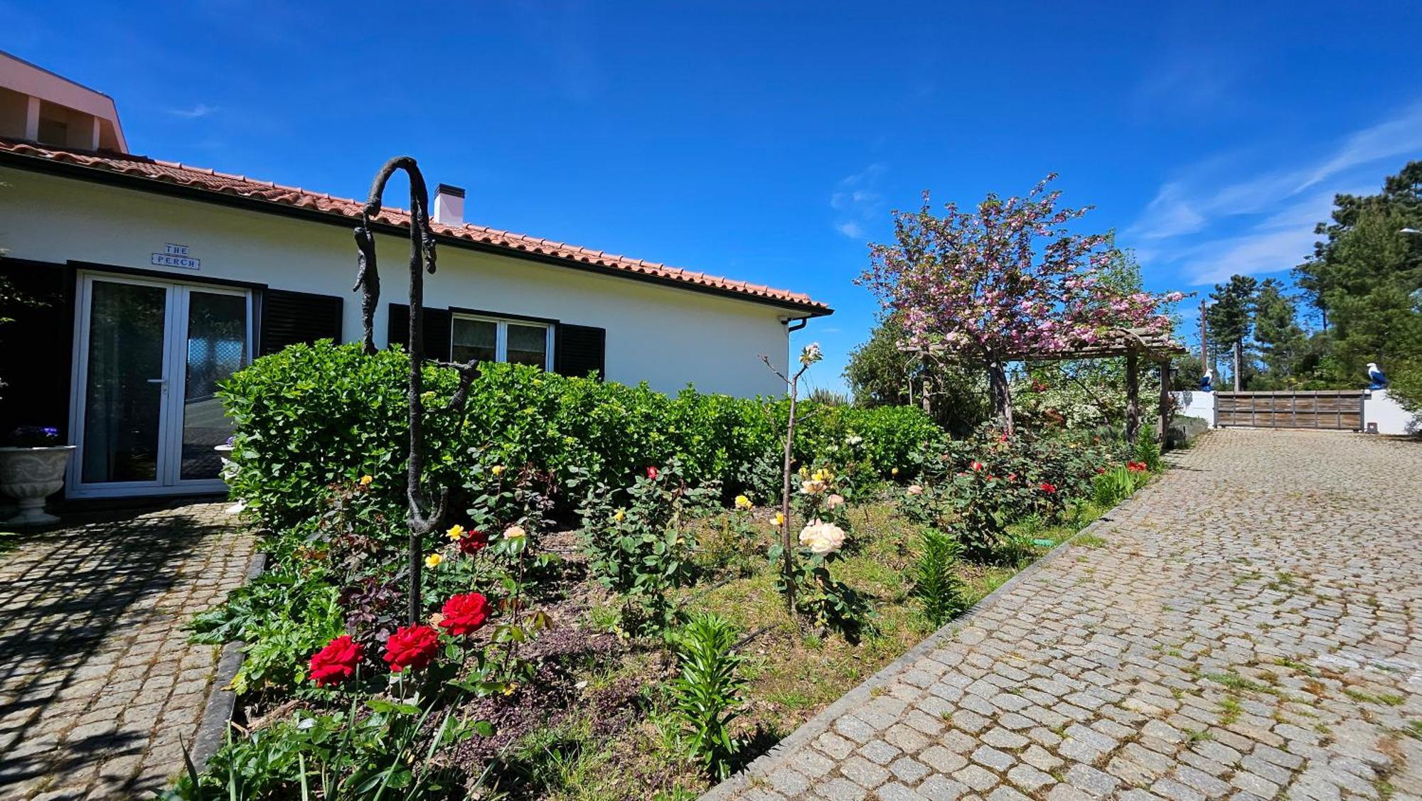 Coja Mountain Perch Villa Vinho (Coimbra)