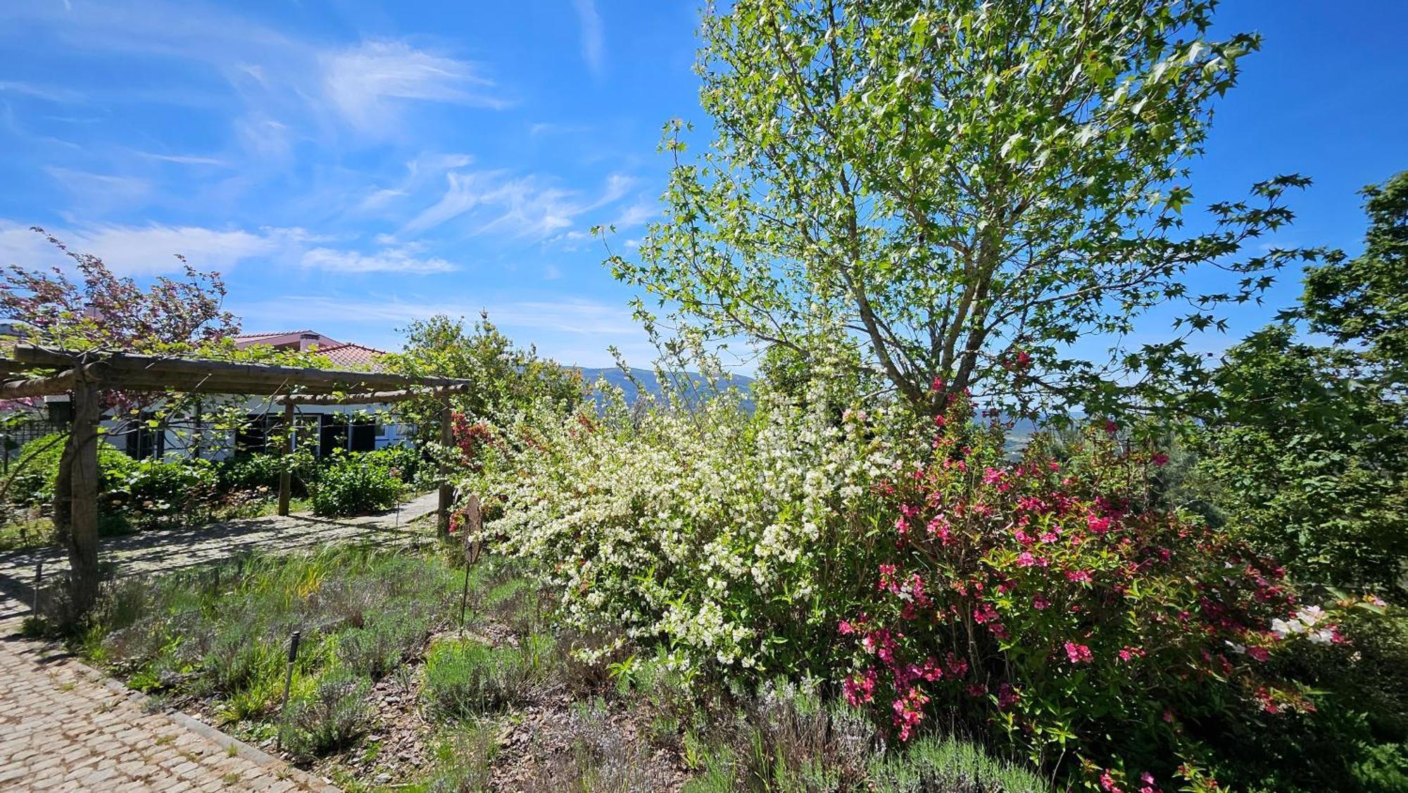 Coja Mountain Perch Villa Vinho (Coimbra)